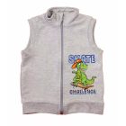 Mellény, Dínó mintával