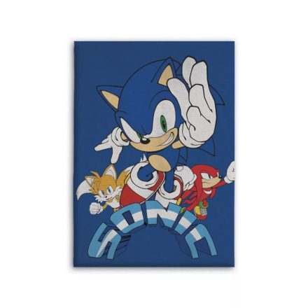 Sonic a sündisznó polár takaró 100x140cm