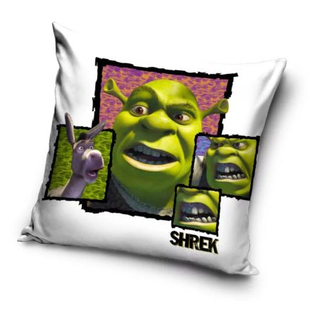 Shrek párnahuzat 40x40 cm Velúr