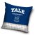 Yale University párnahuzat 40x40 cm