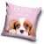 Kutyás Spaniel párnahuzat 40x40 cm