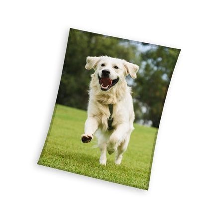 Kutyás Happytail Retriever coral fleece polár takaró 150x200cm