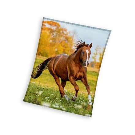 Lovas Gallop coral fleece polár takaró 150x200cm