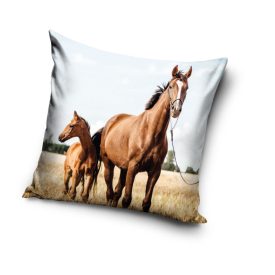 Lovas Loyal Hearts párnahuzat 40x40 cm