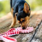 Hello Kitty Pink szilikon etetőszőnyeg 18 cm