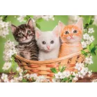 Állatos Brothers in Fur 2x60 db-os puzzle Clementoni