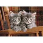 Cicás Cozy Cat 500 db-os Compact puzzle Clementoni