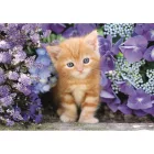 Cicás Ginger 500 db-os Compact puzzle Clementoni
