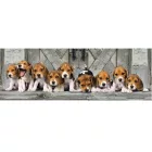 Kutyás Beagles 1000 db-os panoráma puzzle Clementoni