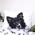 Kutyás Border Collie ágyneműhuzat 140×200cm, 70×90 cm