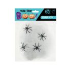 Pókháló White pókokkal