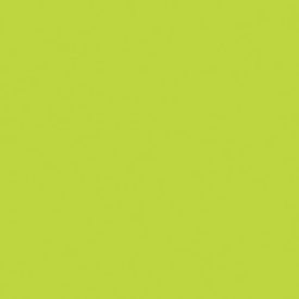 Kivi zöld Maki szalvéta 20 db-os 33x33 cm