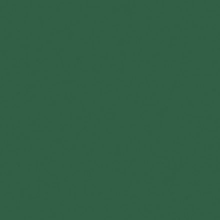 Palack zöld Maki szalvéta 20 db-os 33x33 cm