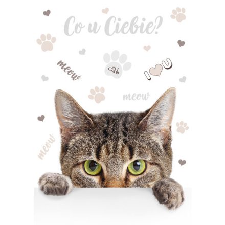 Cicás Meow A/4 gumis mappa