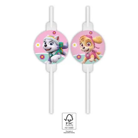 Mancs Őrjárat Skye and Everest papír szívószál, 4 db-os szett FSC